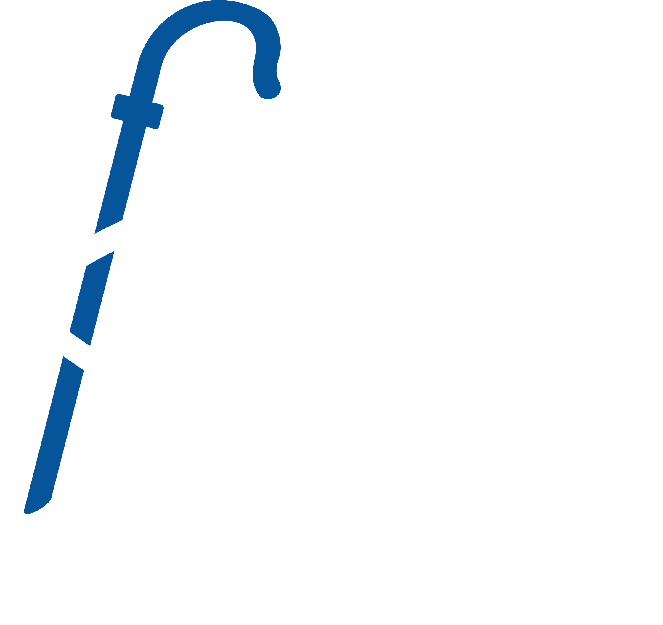 Logo La Voz del Pastor